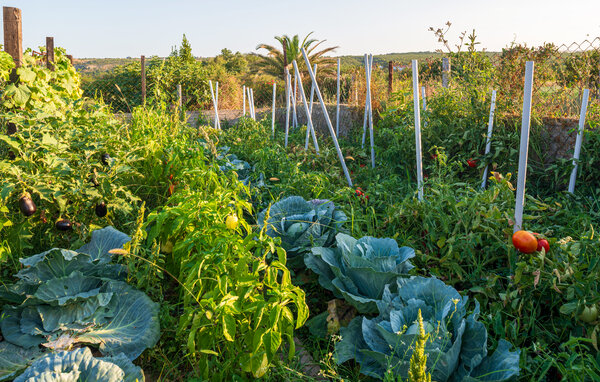 Domy wakacyjne - Zadar - Posedarje , Chorwacja - CDY397 7