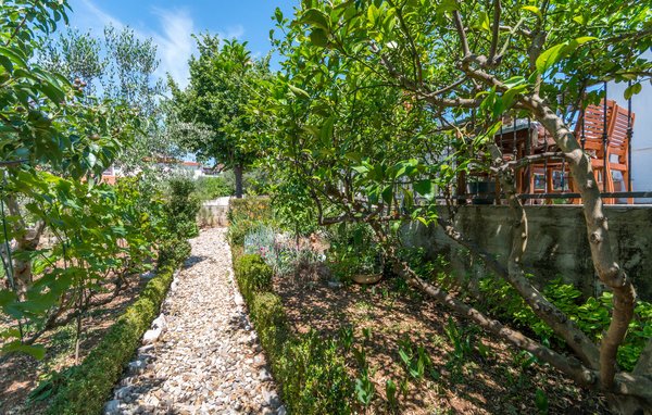 Apartament - Biograd-Pakostane , Chorwacja - CDZ242 101