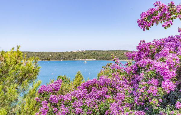 Ferienwohnung - Banjole , Kroatien - CIB123 110