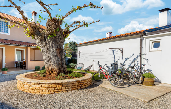 Feriehuse - Svetvincenat-Pusti , Kroatien - CIC087 103