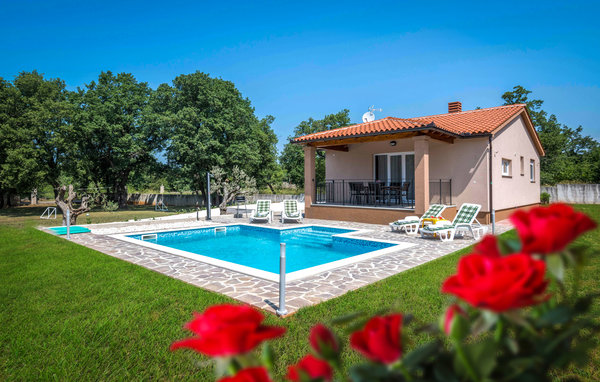 Domy wakacyjne - Vodnjan-Golubovo , Chorwacja - CIC650 1