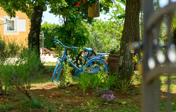 Holiday Home - Svetvincenat-Bijazici , Croatia - CIC735 101