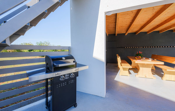 Vakantiehuis - Tinjan-Zuzici , Kroatië - CIC786 105