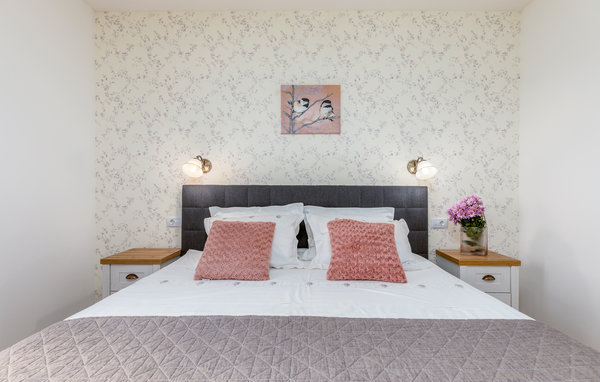 Ferienhaus - Zminj-Bencici , Kroatien - CIC805 606