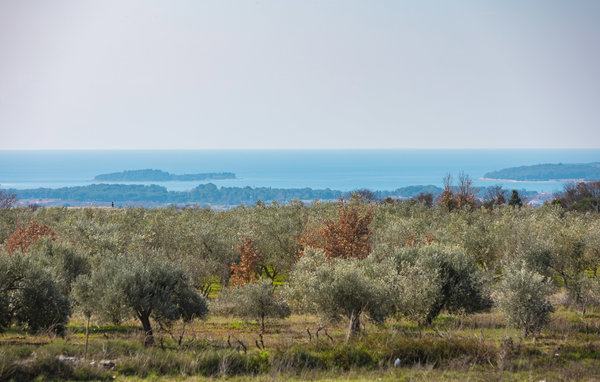 Feriehuse - Vodnjan , Kroatien - CIC807 201
