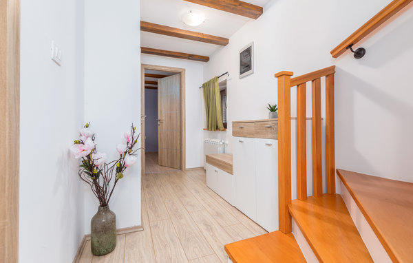 Domy wakacyjne - Vodnjan - Guran , Chorwacja - CIC830 503