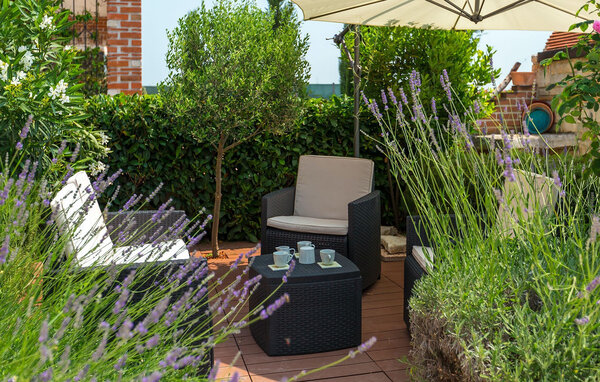 Holiday Home - Porec - Kastelir , Croatia - CID036 102
