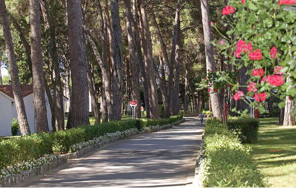 Ferienwohnung - Porec , Kroatien - CID044 103