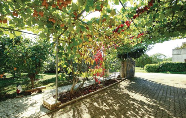 Apartment - Porec-Brcici , Croatia - CIE263 104