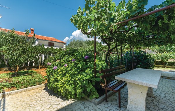 Apartment - Porec , Croatia - CIE893 102