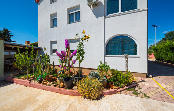 Semesterlägenhet - Fazana - Valbandon , Kroatien - CIF045 81