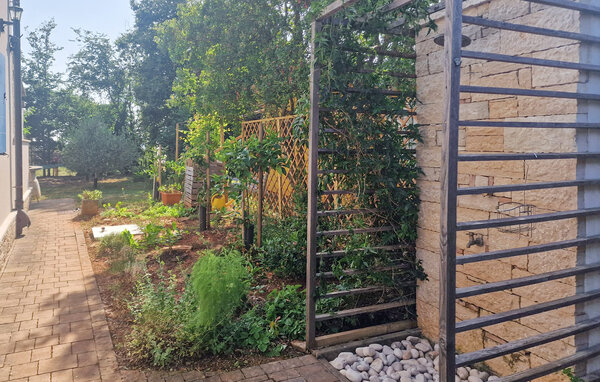 Location de vacances - Fazana - Peroj , Croatie - CIF093 102