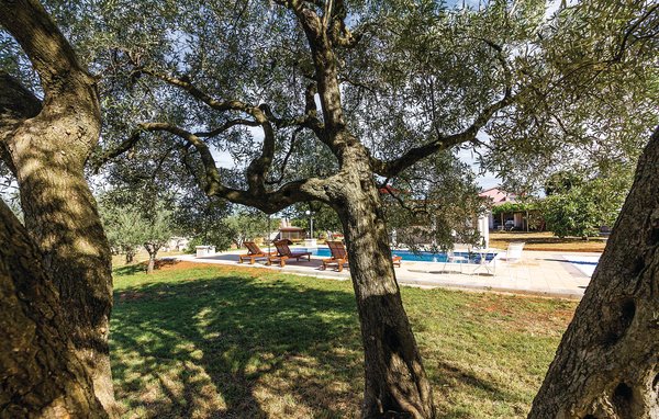 Apartment - Fazana-Peroj , Croatia - CIF167 18