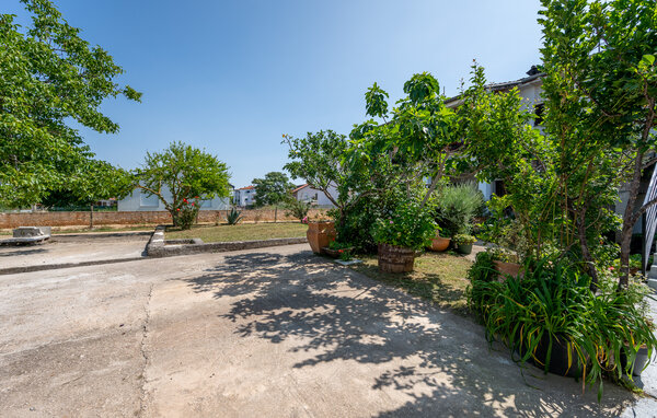 Ferieleilighet - Fazana-Peroj , Kroatia - CIF576 83