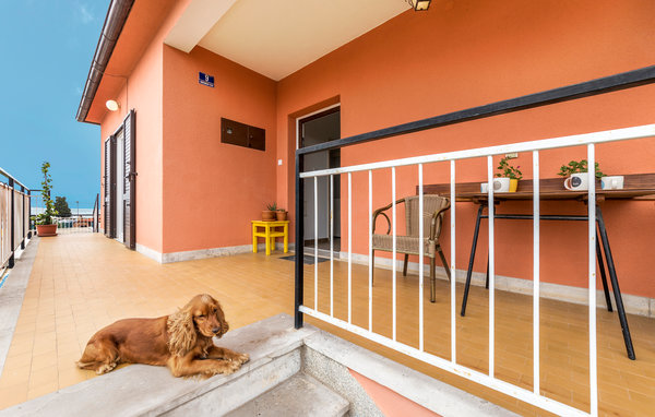 Apartment - Fazana , Croatia - CIF827 102