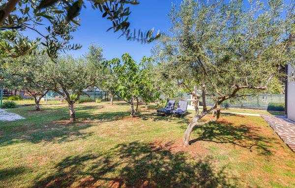 Semesterhus - Fazana-Peroj , Kroatien - CIF889 104