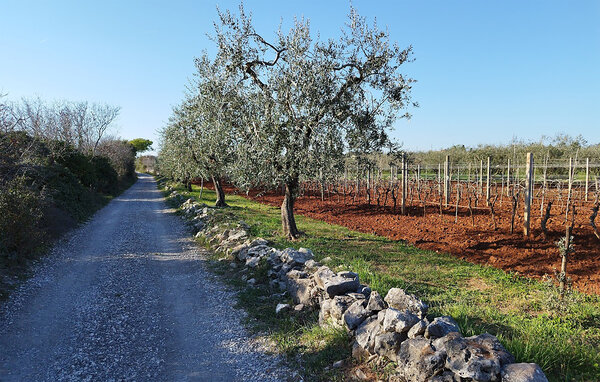 Casa vacanze - Fazana , Croazia - CIF965 108