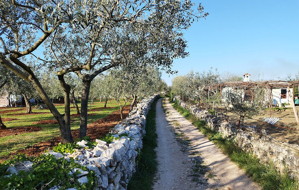 Casa vacanze - Fazana , Croazia - CIF965 109