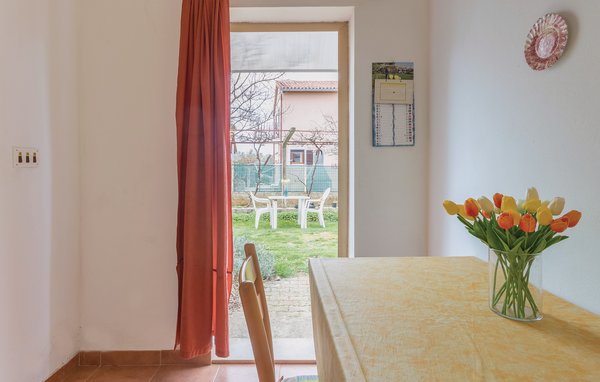Apartmá 