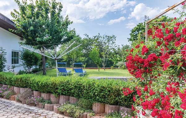 Apartment - Duga Uvala-Pavicini , Croatia - CIO169 103