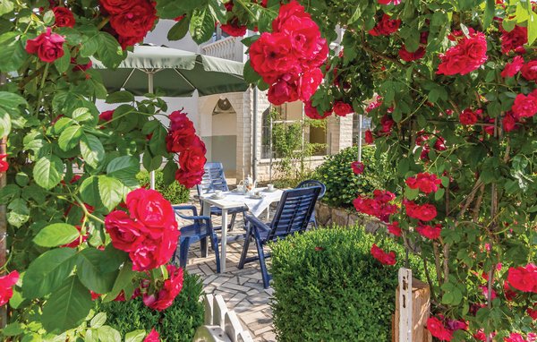 Apartment - Duga Uvala-Pavicini , Croatia - CIO169 8