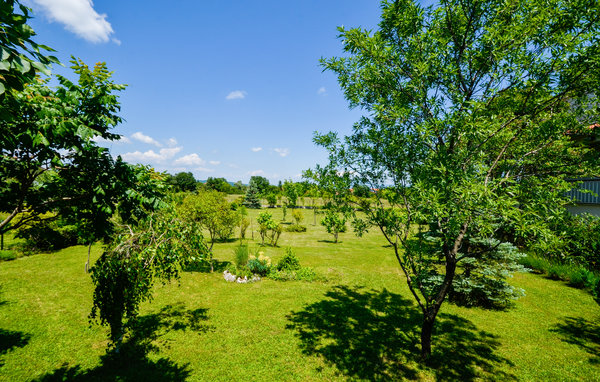 Dům 