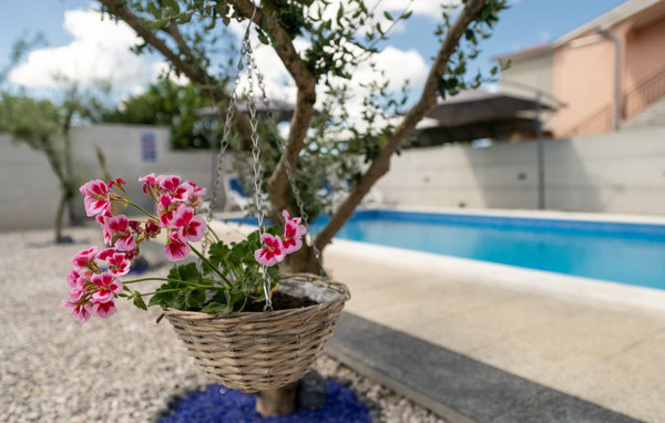 Vakantiehuis - Labin-Vrecari , Kroatië - CIO285 16