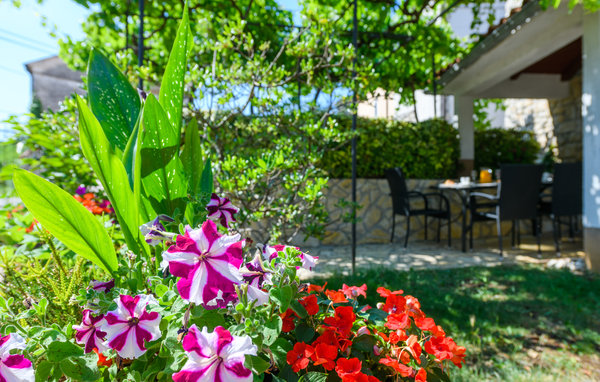 Vakantiehuis - Labin-Nedescina , Kroatië - CIO317 103