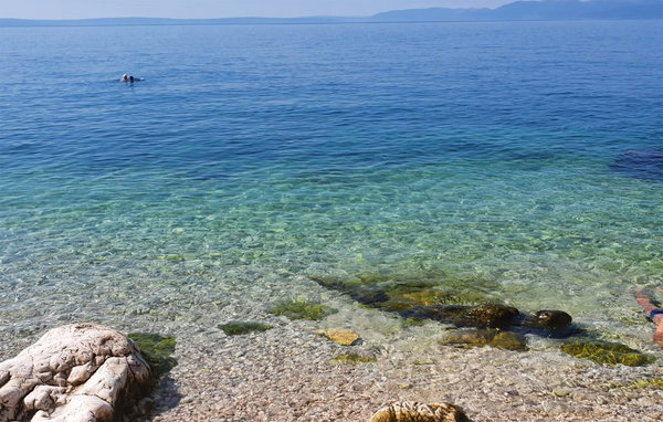 Kuća-za-odmor - Labin-Kamenjari , Hrvatska - CIO429 901
