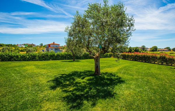 Ferienhaus - Vodnjan-Galizana , Kroatien - CIR222 86