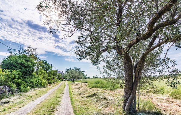 Ferienwohnung - Pula , Kroatien - CIR258 801