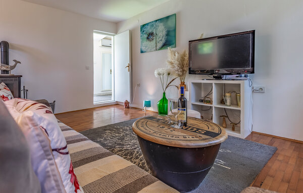 Holiday Home - Pula - Vintijan , Croatia - CIR787 302
