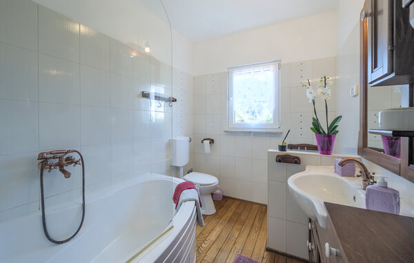 Holiday Home - Svetvincenat - Brscici , Croatia - CIS379 701