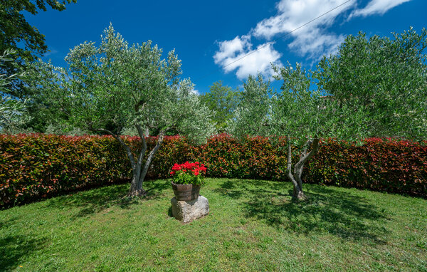 Holiday Home - Svetvincenat - Brscici , Croatia - CIS379 107