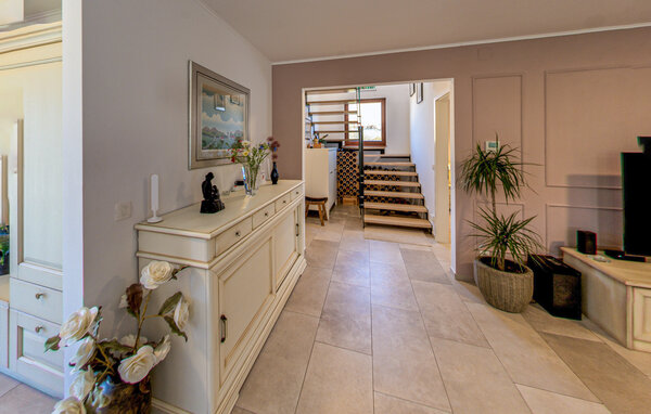 Domy wakacyjne - Buje , Chorwacja - CIS388 501