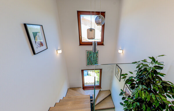 Domy wakacyjne - Buje , Chorwacja - CIS388 502