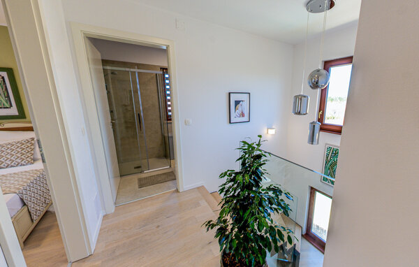 Domy wakacyjne - Buje , Chorwacja - CIS388 503