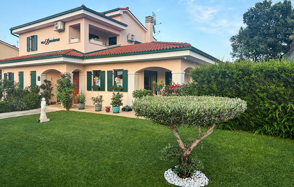 Domy wakacyjne - Buje , Chorwacja - CIS388 82