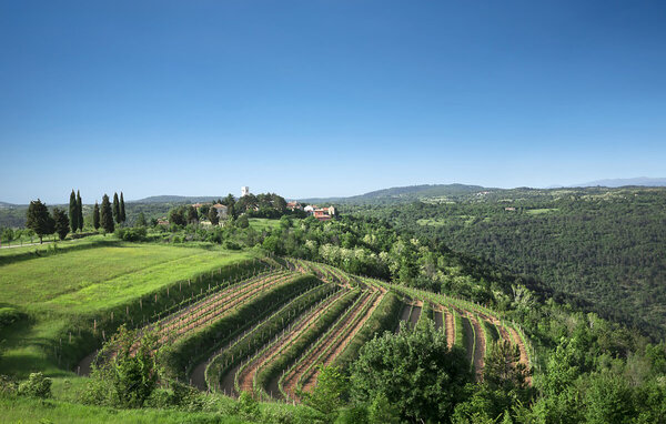 Holiday Home - Motovun - Oprtalj , Croatia - CIS427 102