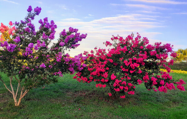 Apartment - Barban - Sutivanac , Croatia - CIS440 102