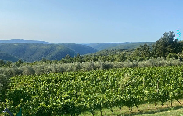 Apartment - Barban - Sutivanac , Croatia - CIS440 201