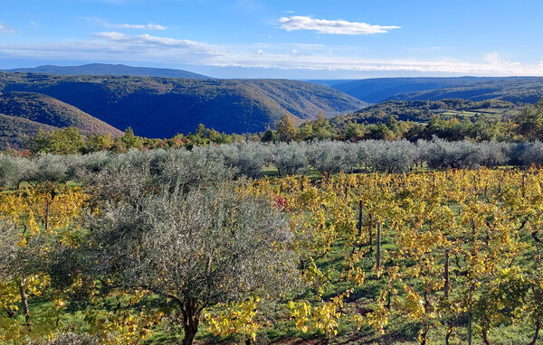 Apartment - Barban - Sutivanac , Croatia - CIS440 202