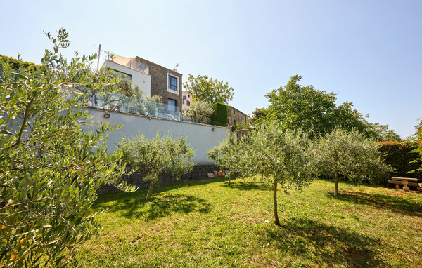 Ferienhaus - Buje , Kroatien - CIS455 106