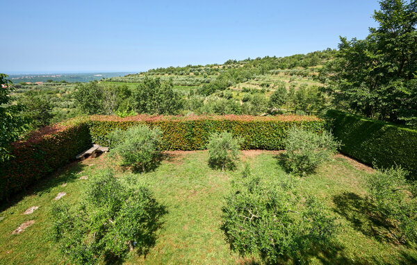 Ferienhaus - Buje , Kroatien - CIS455 107