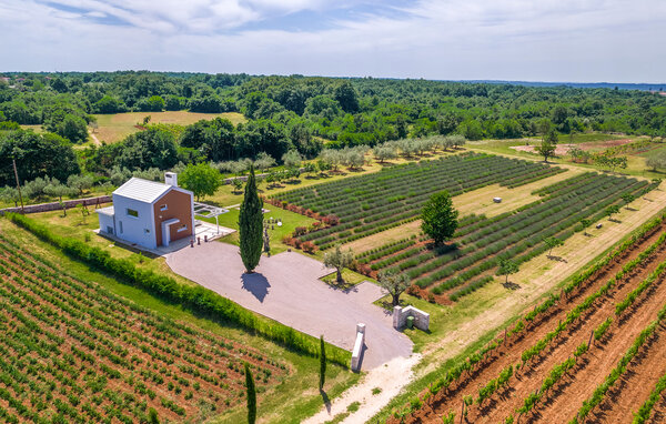 Domy wakacyjne - Svetvincenat - Jursici , Chorwacja - CIS456 3
