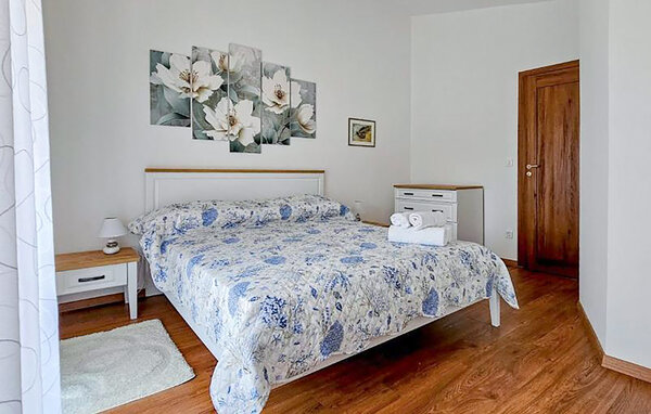 Domy wakacyjne - Novigrad-Buzinija , Chorwacja - CIU903 601