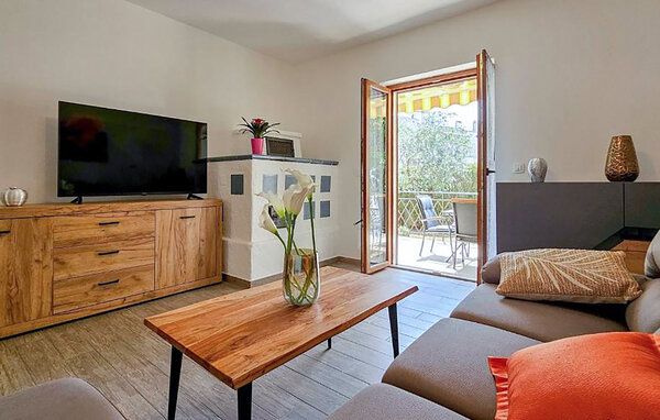 Domy wakacyjne - Novigrad-Buzinija , Chorwacja - CIU903 301