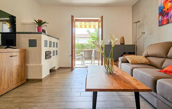 Domy wakacyjne - Novigrad-Buzinija , Chorwacja - CIU903 303