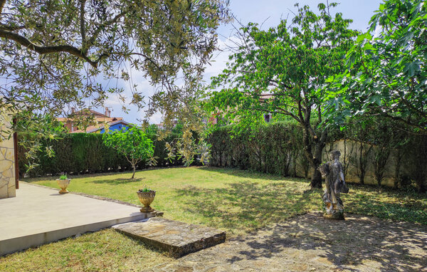 Domy wakacyjne - Novigrad-Buzinija , Chorwacja - CIU903 103