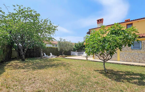 Domy wakacyjne - Novigrad-Buzinija , Chorwacja - CIU903 104